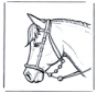 Cabeça de cavalo 2