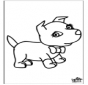 Cão 6