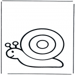 Animais - Caracol