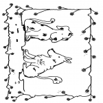 Animais - Case 1
