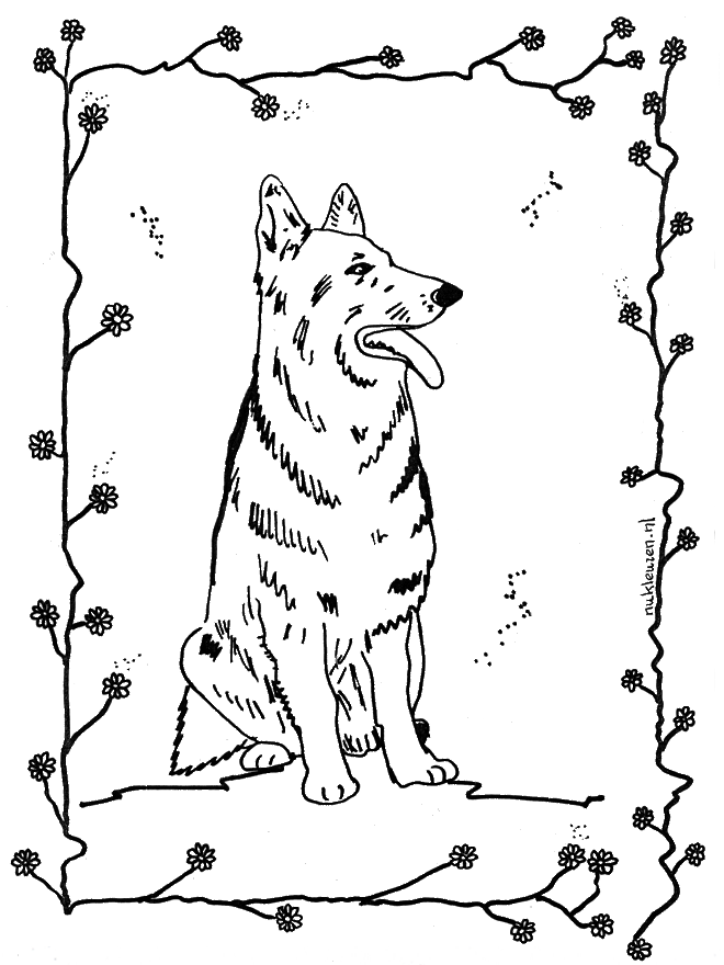 Case 4
