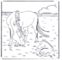 Cavalo e potro