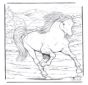 Cavalos 4
