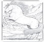Cavalos 5