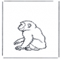 Macaco 2