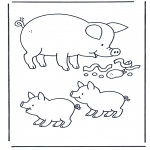 Animais - Porco