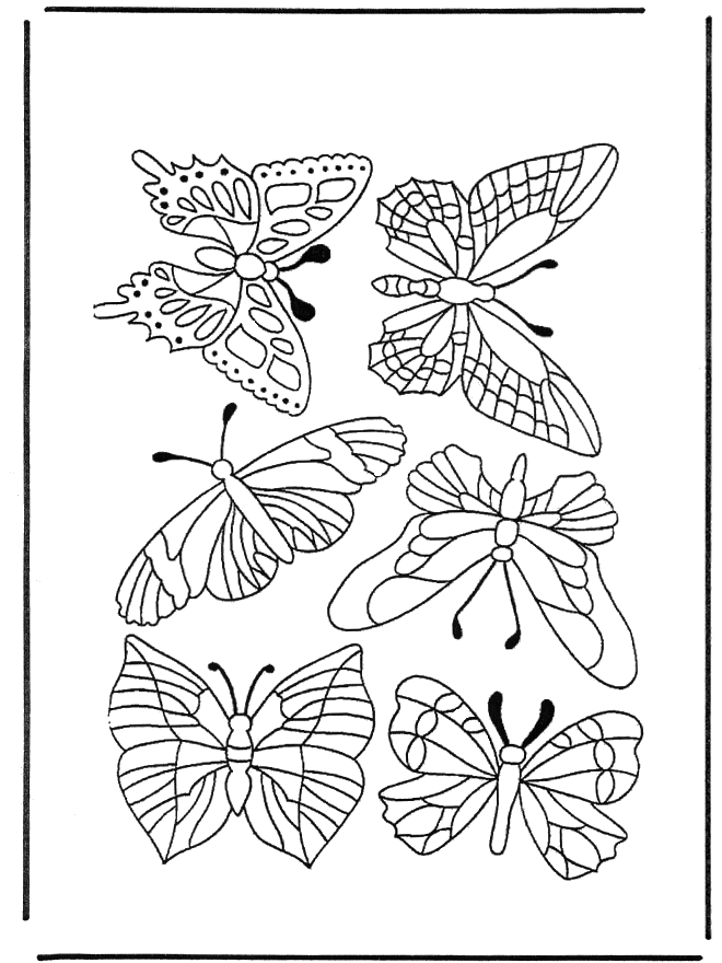 Borboletas 1 - Insectos