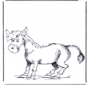 Burro