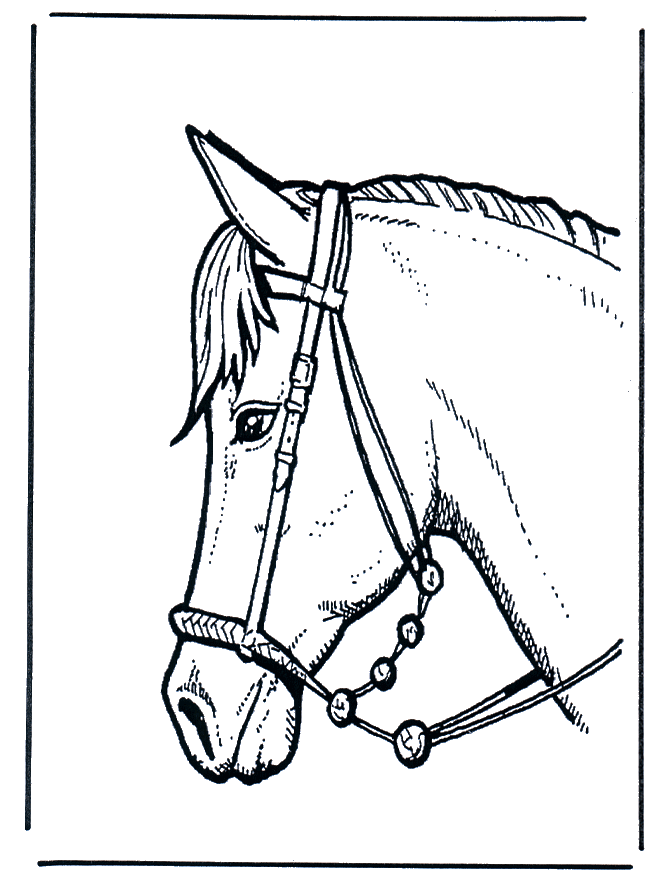 Cabeça de Cavalo: Desenhos para Imprimir e Colorir!