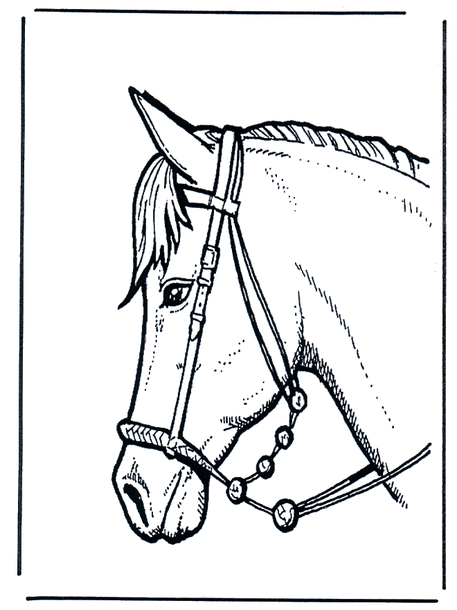 Desenho de Cabeça de cavalo para colorir