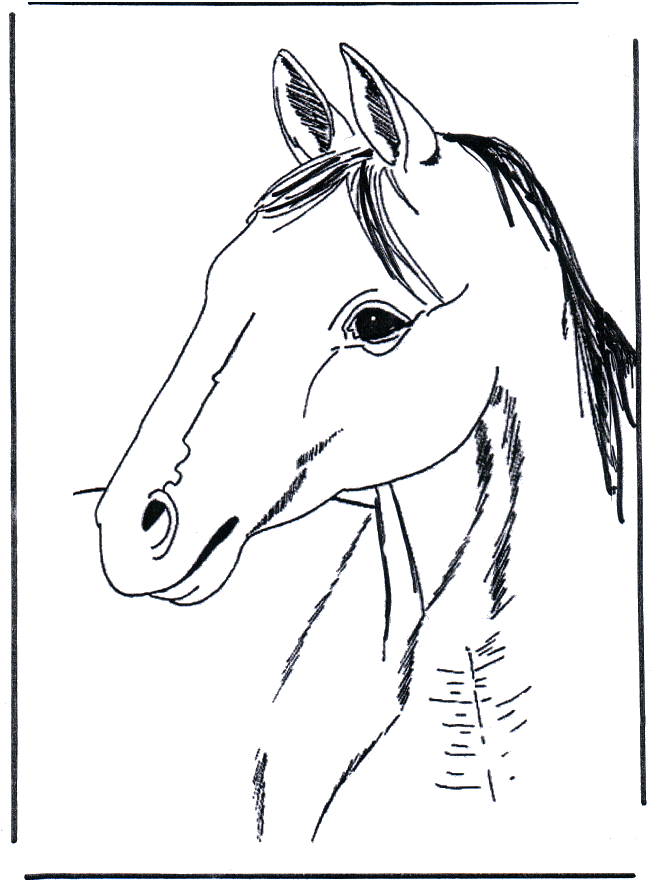 Cabeça de cavalo 3 - Cavalos