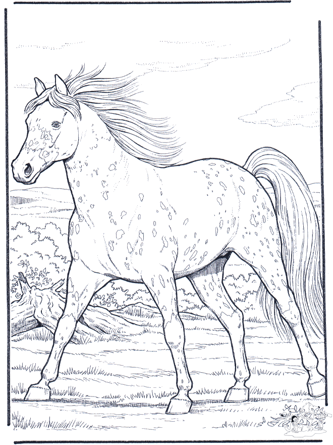 Cavalo a galope - Cavalos