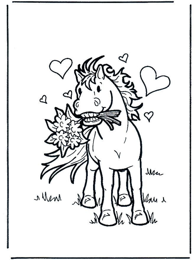 Cavalo apaixonado - Cavalos