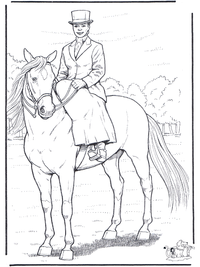 Cavalo com senhora - Cavalos