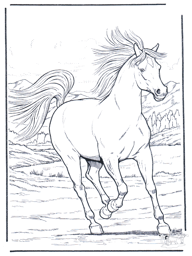 Cavalo de corrida - Cavalos