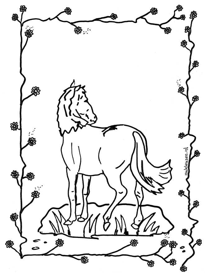 Cavalos 2 - Cavalos