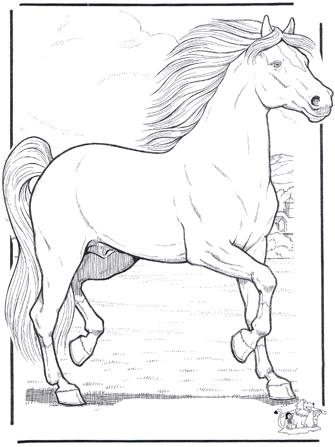 Cavalos 3 - Cavalos