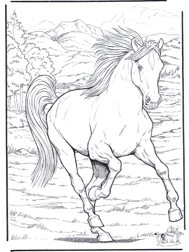 Desenho cavalo meio corpo de frente.  Desenho, Desenho e pintura, Pinturas