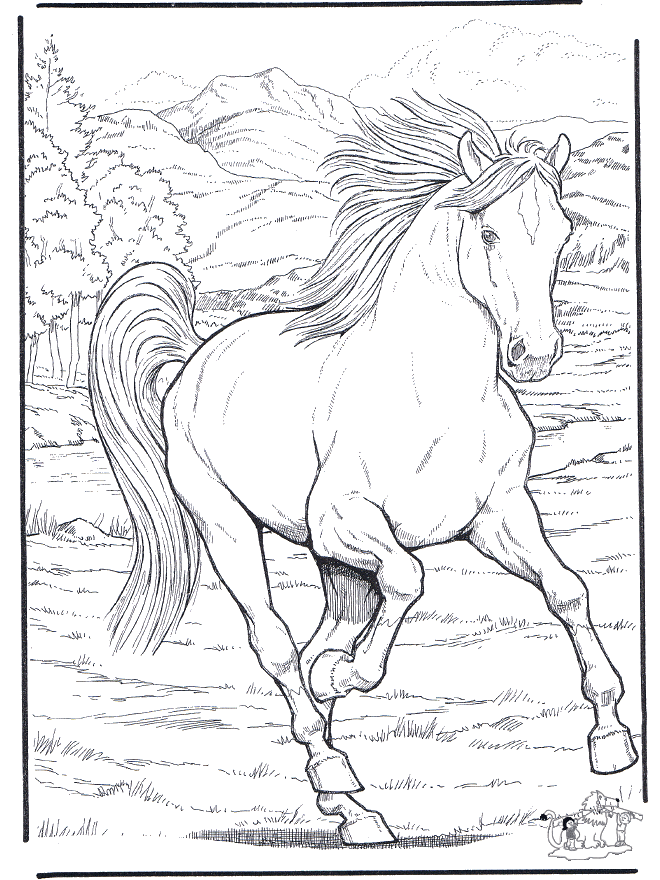 Desenhos para colorir de desenho de um cavalo selvagem para