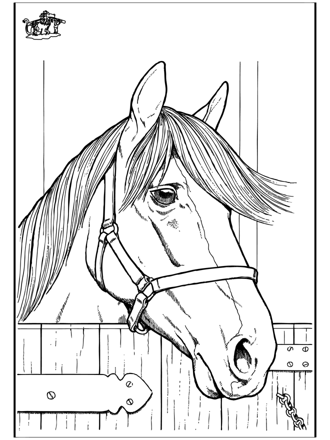 Cavalos 7 - Cavalos
