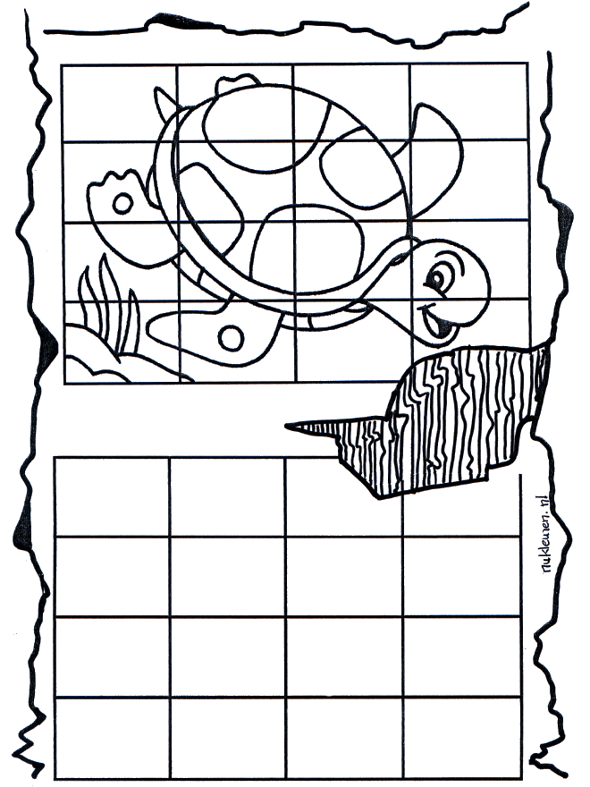 Desenho da tartaruga - Desenhando