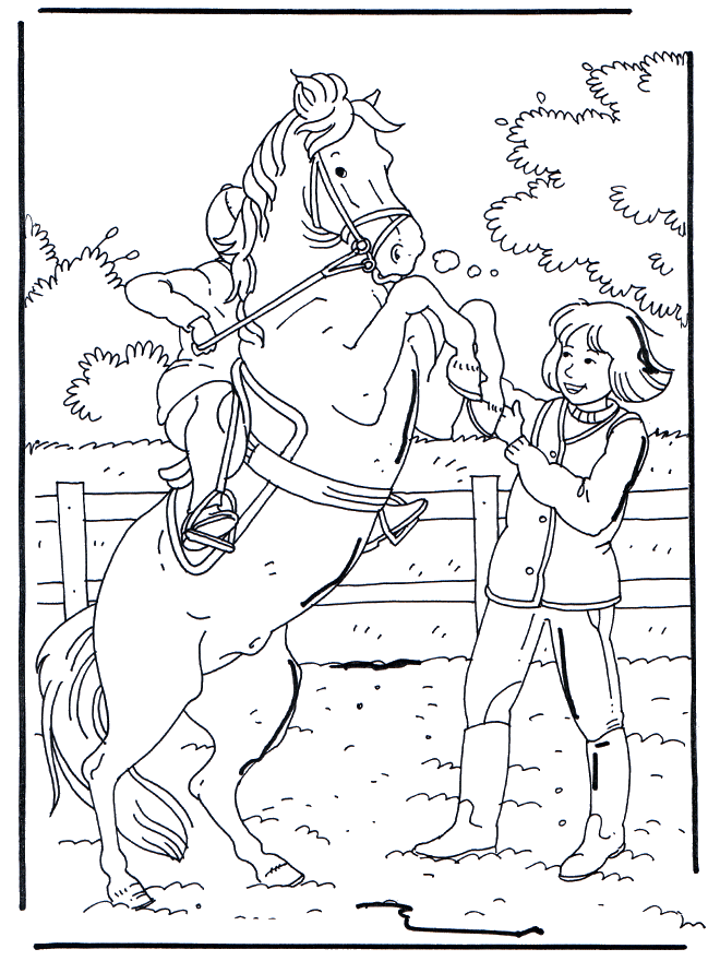 Elevando o cavalo - Cavalos