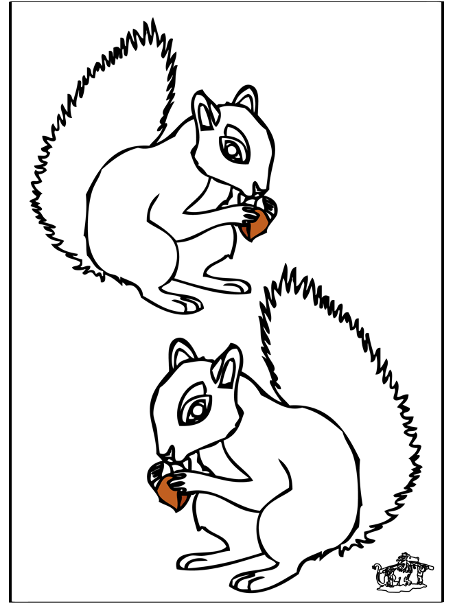 Esquilo 4 - Roedores