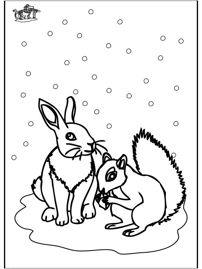 Esquilo e Coelho - Animais de inverno