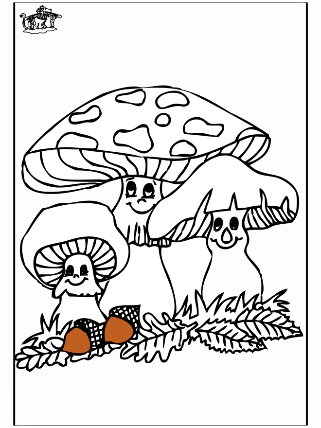 Fungi 1 - Outono