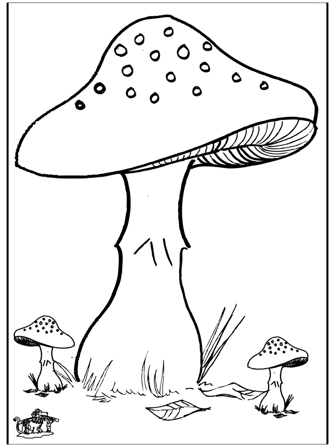 Fungi 3 - Outono