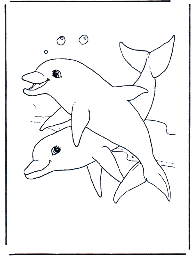 Golfinhos 1 - Animais aquáticos