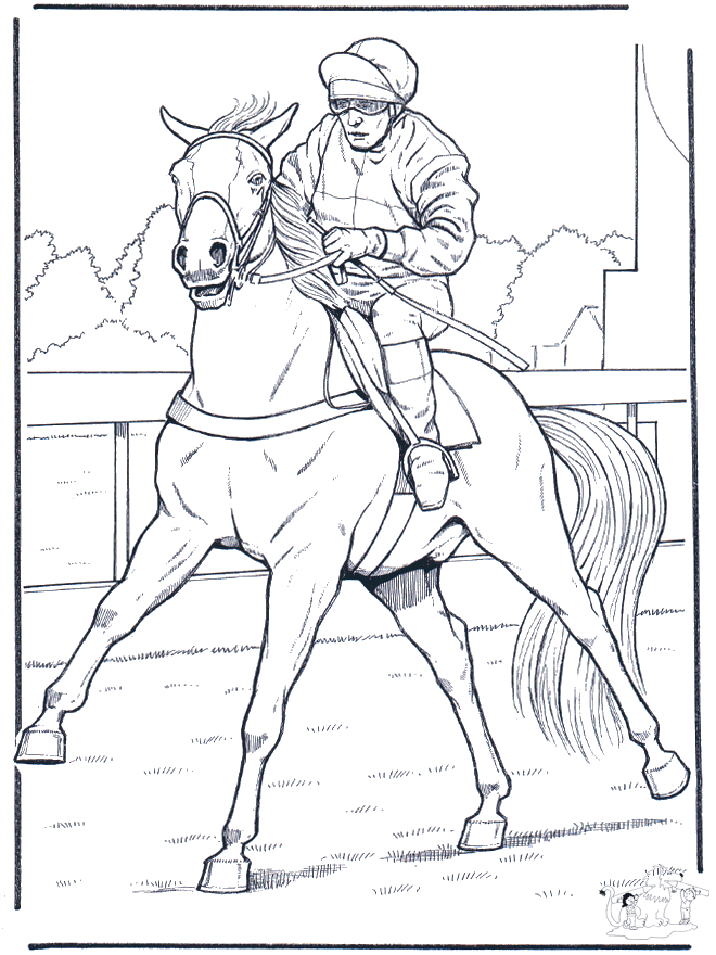 Jockey a cavalo - Desporto
