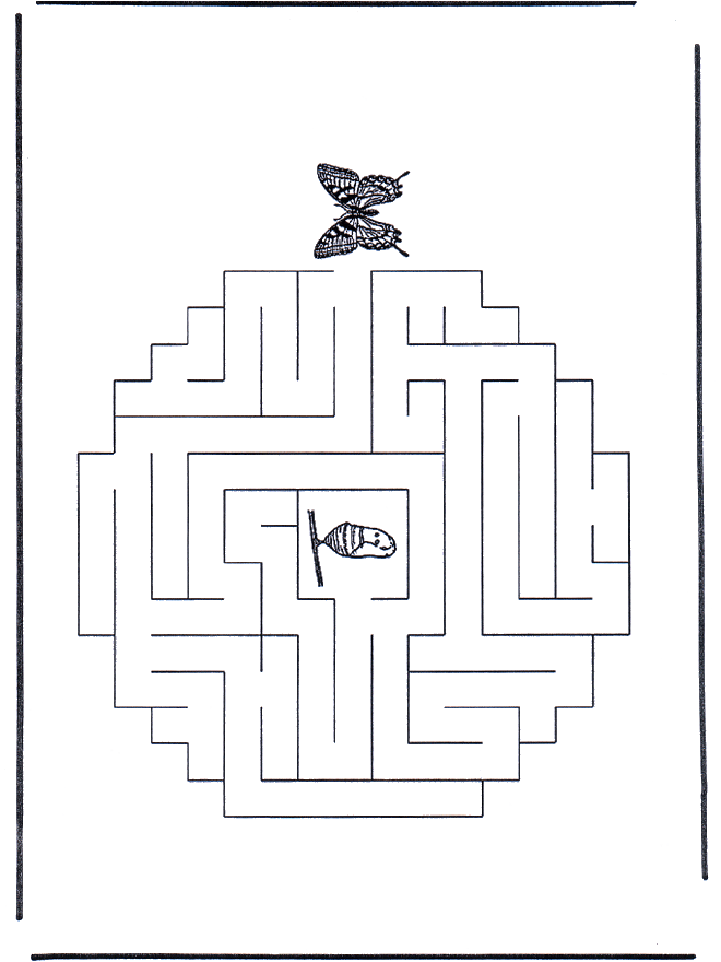 Labirinto borboleta - Labirinto