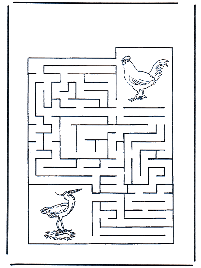 Labirinto de pássaros - Labirinto