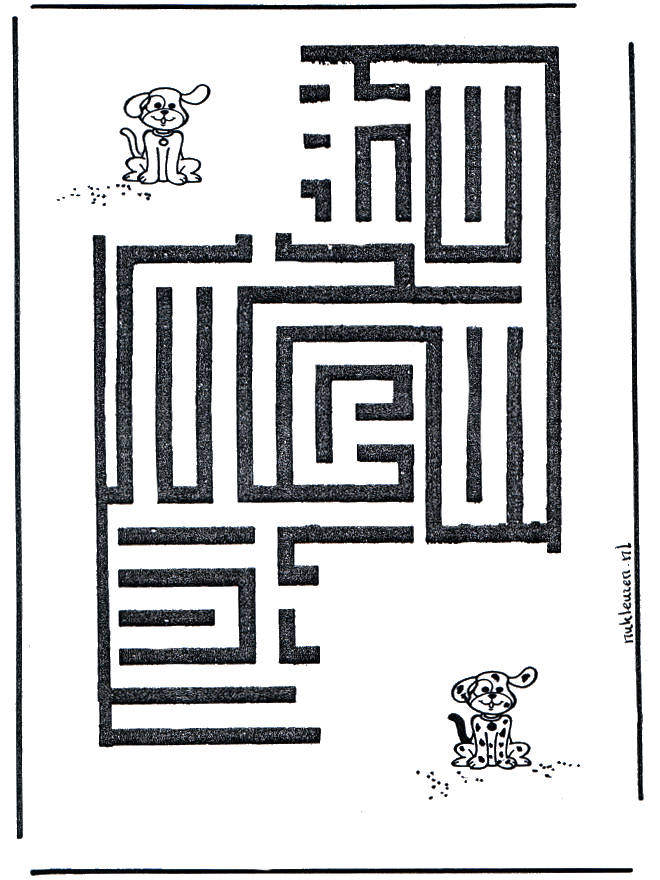 Labirinto do cão - Labirinto