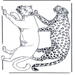 Animais - Leão e leopardo