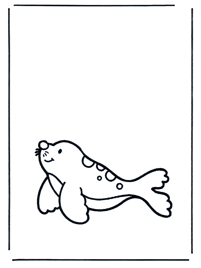 Leão marinho 1 - Animais aquáticos