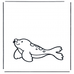 Animais - Leão marinho 1