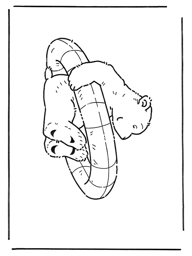 O Pequeno Urso Polar 1 - Larc pequeno urso polar