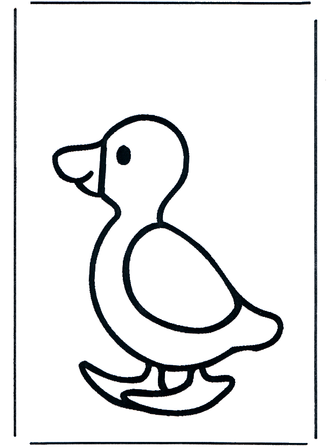 Pato bebé - Animais
