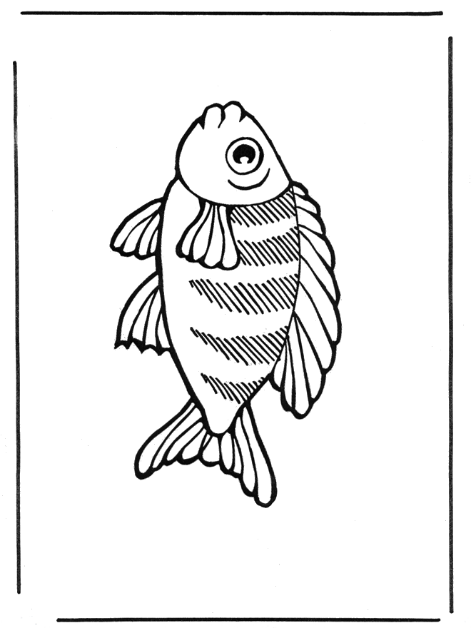 Peixe 2 - Animais aquáticos