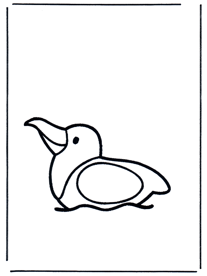 Pequena gaivota - Animais
