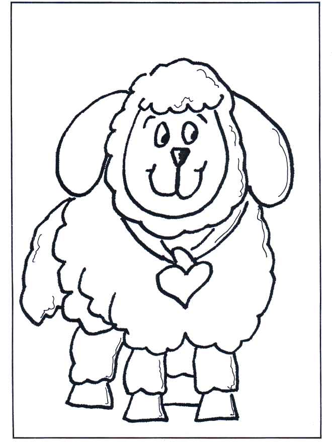Pequena ovelha - Animais