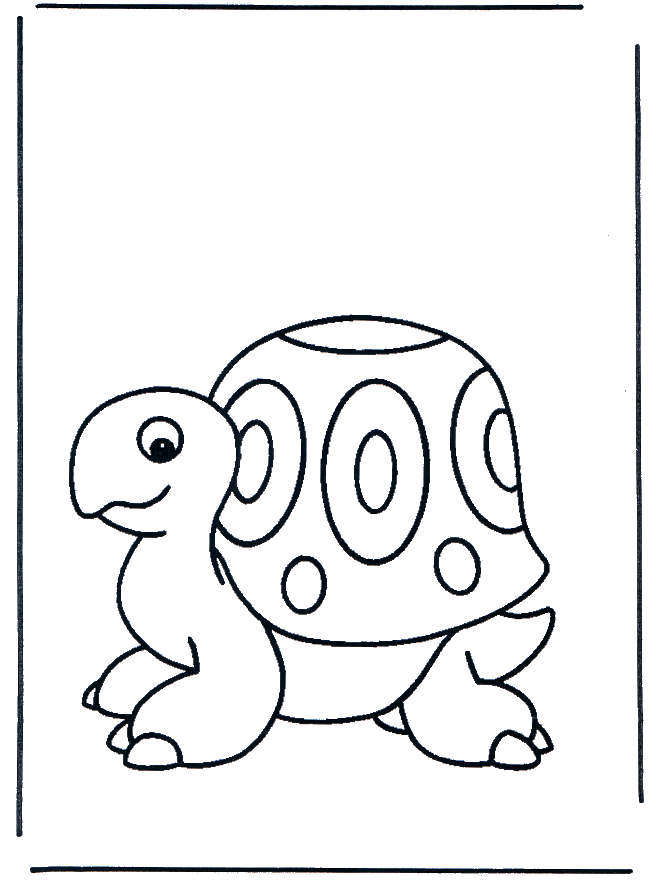 Pequena tartaruga - Animais