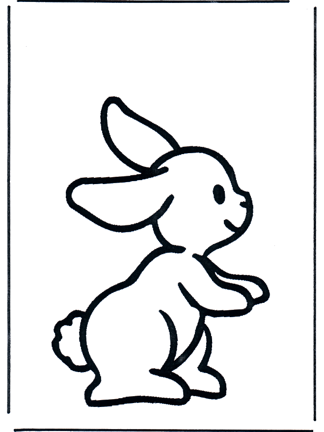 Pequeno coelho 1 - Animais