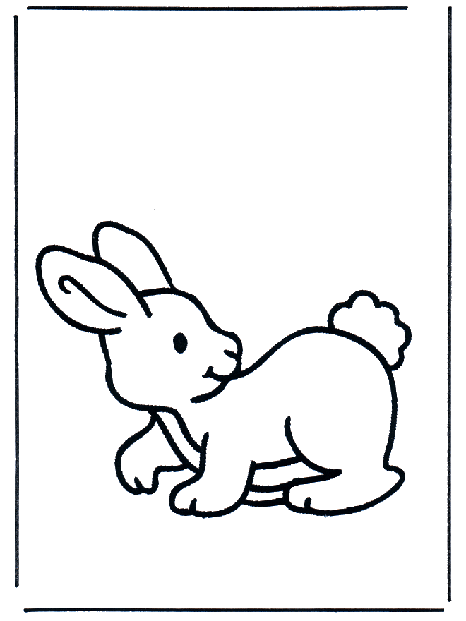 Pequeno coelho 2 - Animais
