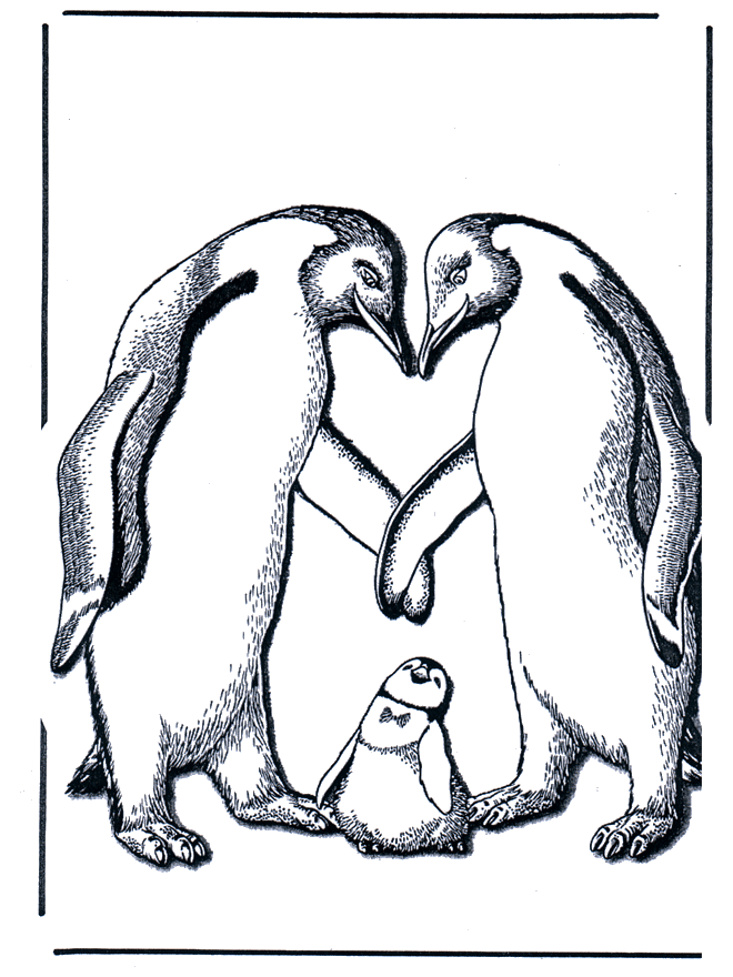 Pinguim com bebé - Jardim Zoológico