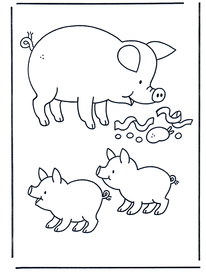 Porco 1 - Animais domésticos e da quinta