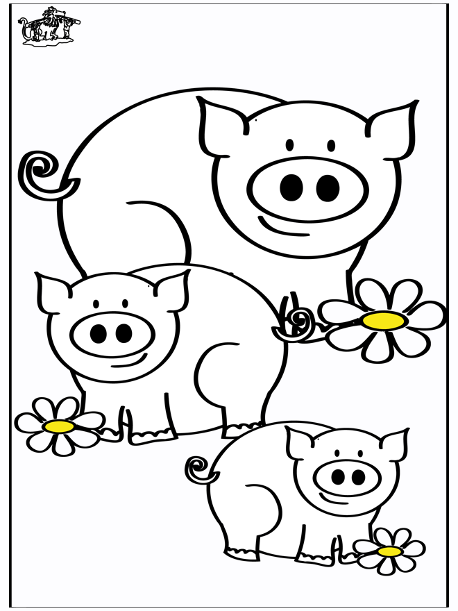 Porcos 4 - Animais domésticos e da quinta
