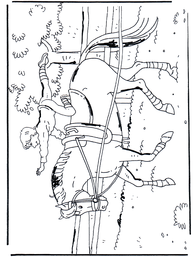 Saltando a cavalo - Cavalos